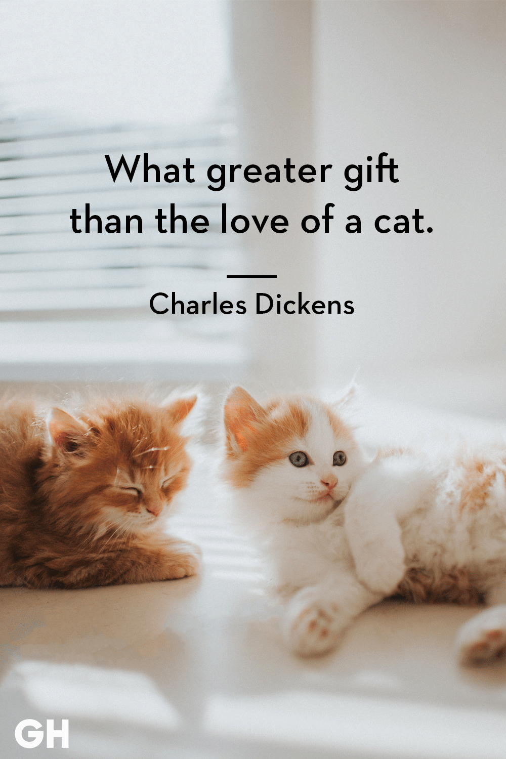 cute kittens with love captions