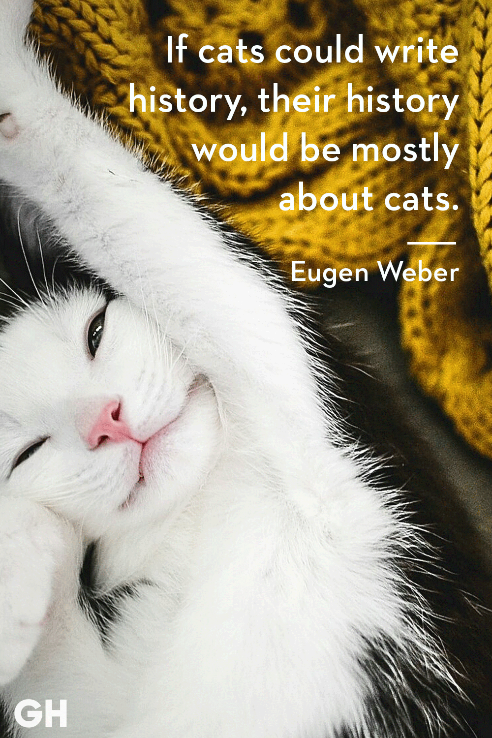 cat quotes images