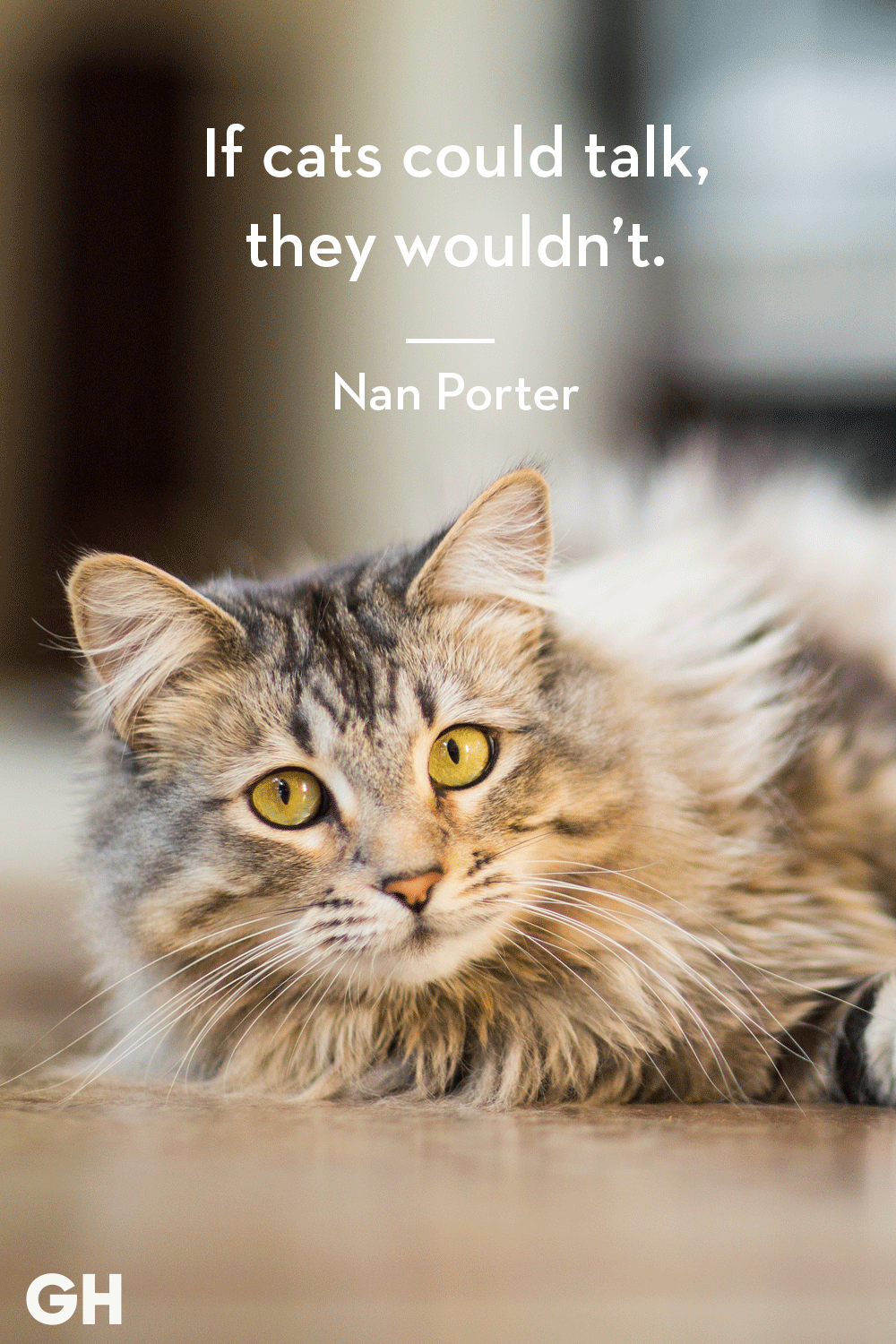 Cat Quotes