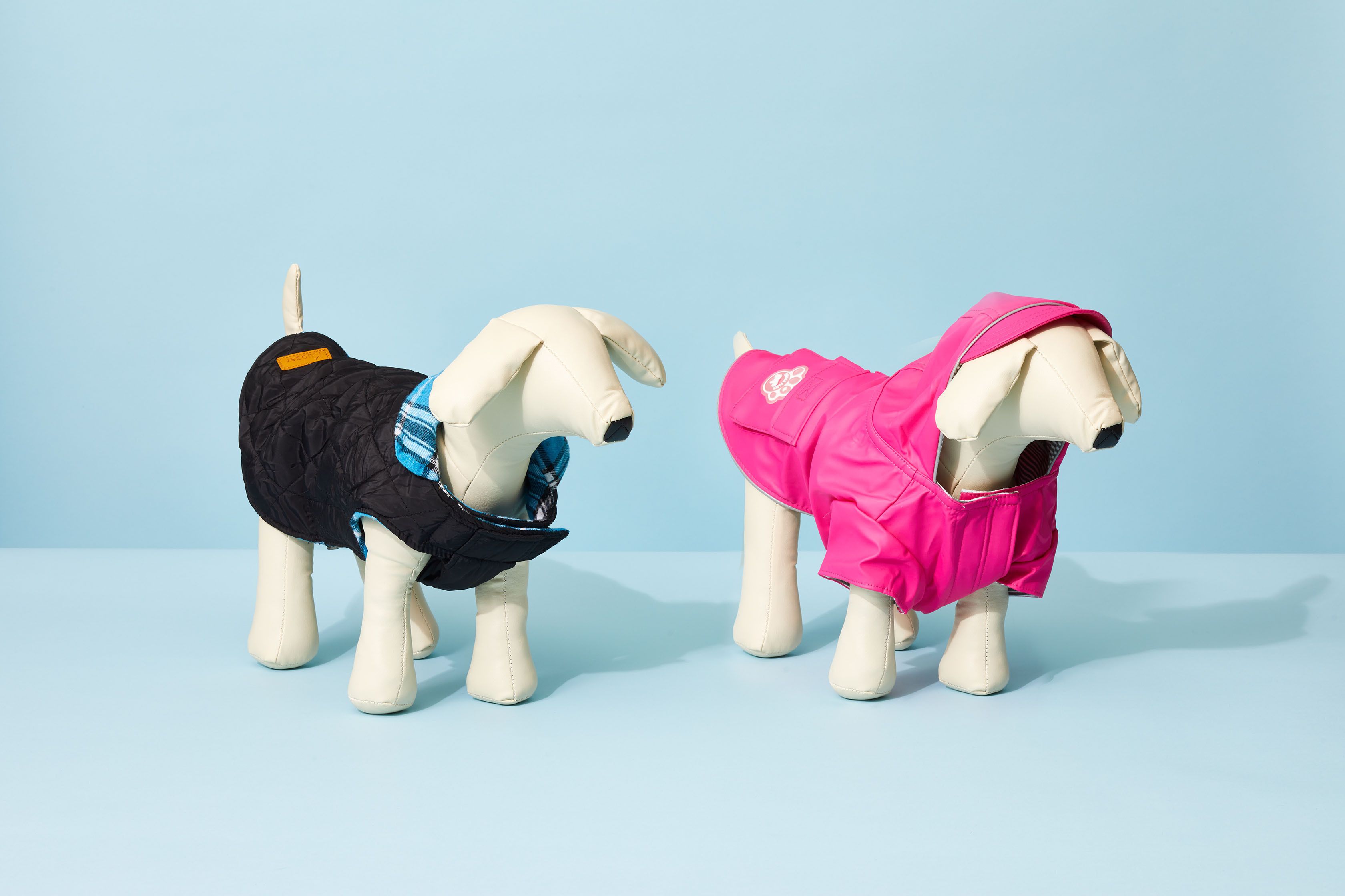 Fun Dog Pajama Pants Women's PJ Dog Lovers Cute Colorful Puppy Puppies Dog  Print