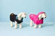 black and pink dog jackets on white dog mannequins, against a blue background, for the good housekeeping picks for best dog jackets
