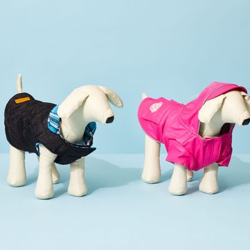 black and pink dog jackets on white dog mannequins, against a blue background, for the good housekeeping picks for best dog jackets