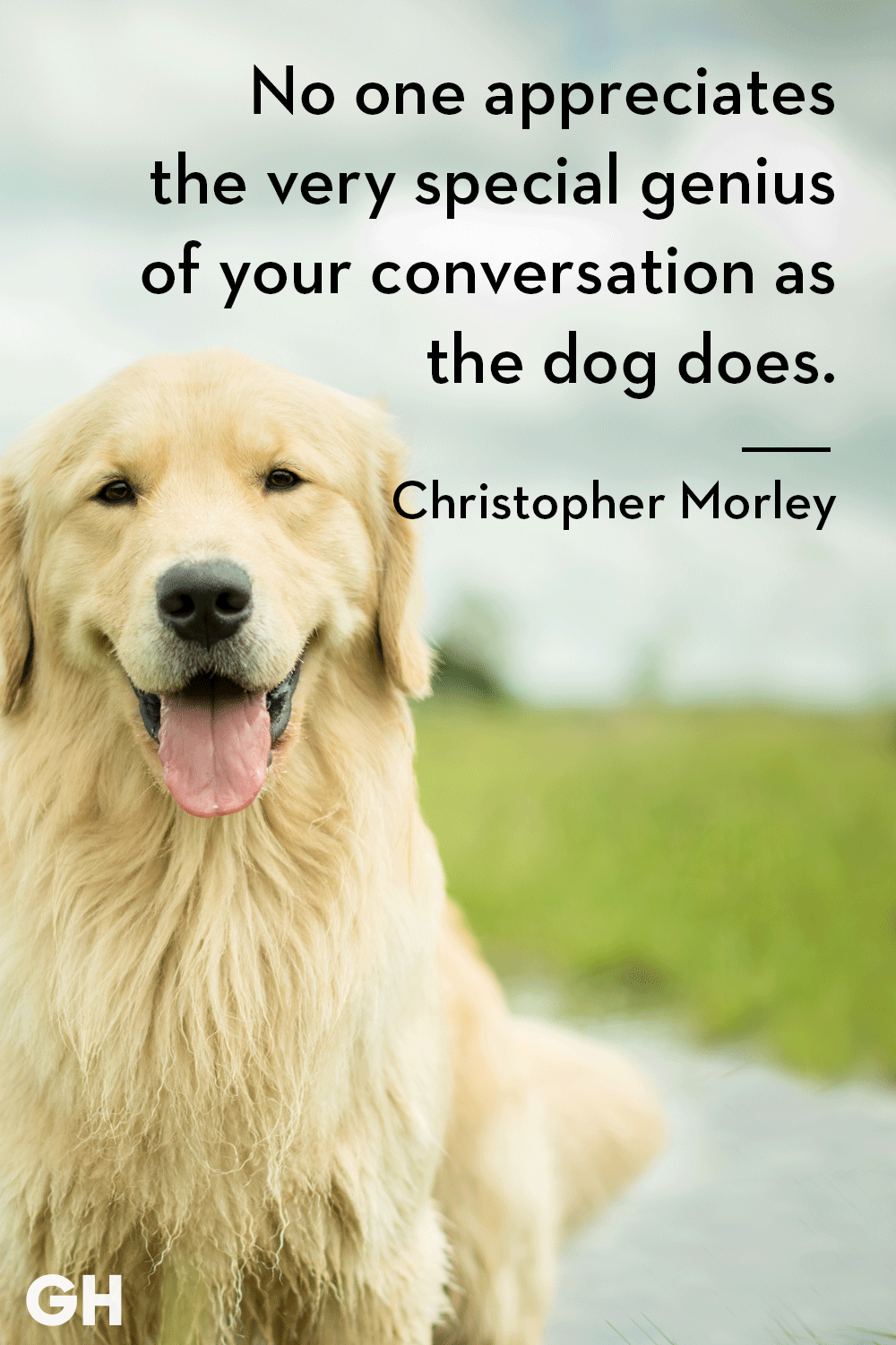 dog lover sayings