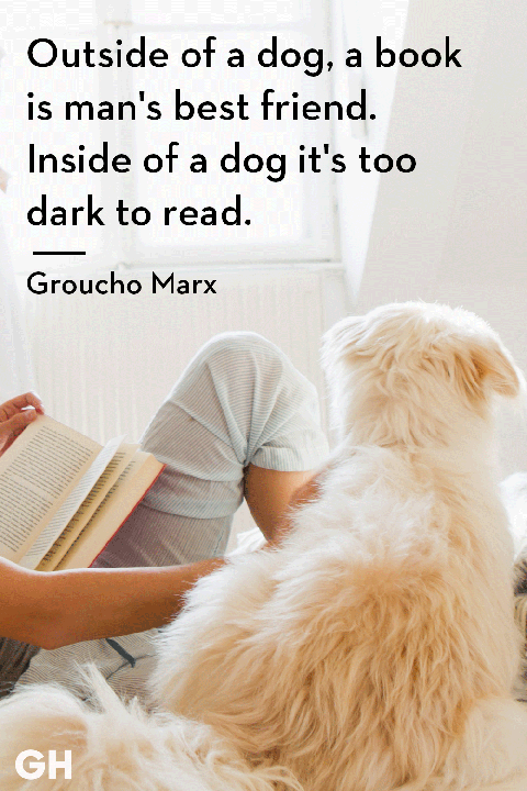 dog quote by groucho marx