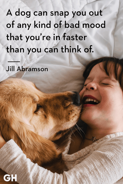 50 Best Dog Quotes - Funny and Cute Quotes About Dogs 50 Best Dog Quotes - Funny and Cute Quotes About Dogs