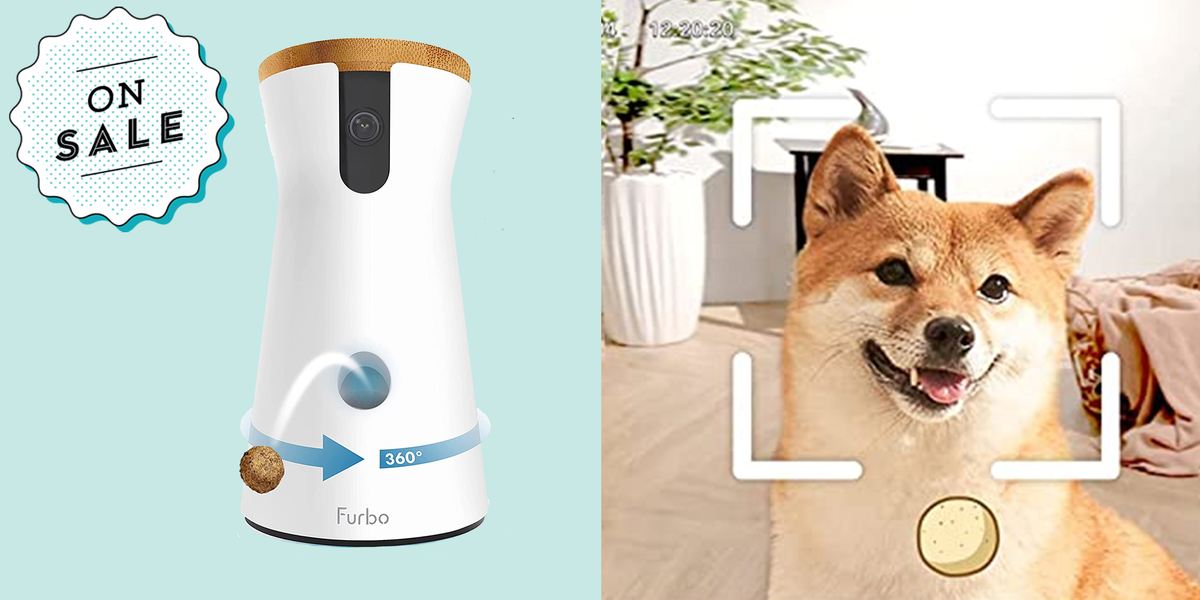 Furbo Dog Camera Amazon Sale 2022