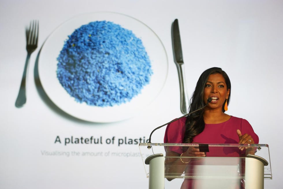 speaker dr manasa mantravadi pictured in front of a slideshow slide of the amount of plastic we eat in a year