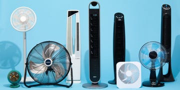 a group of different sized and shaped fans