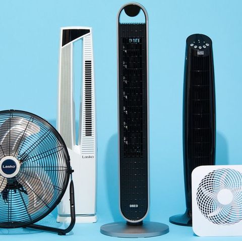 a group of different sized and shaped fans