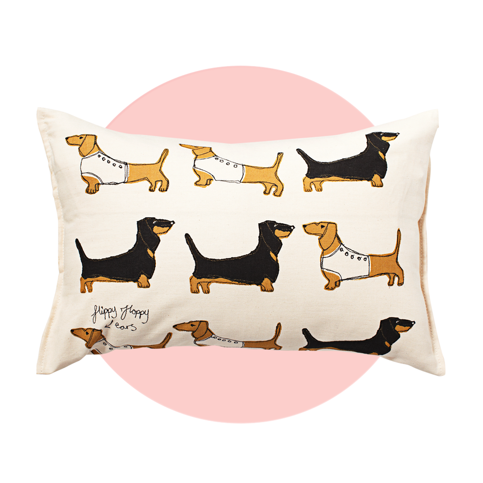 Dog, Canidae, Dachshund, Dog breed, Carnivore, Welsh terrier, Pillow, Hound, Airedale terrier, Linens, 