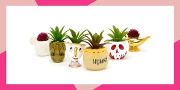 Flowerpot, Pineapple, Houseplant, Font, Plant, Ceramic, Ananas, Flower, Bromeliaceae, Vase, 