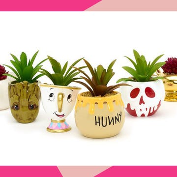 Flowerpot, Pineapple, Houseplant, Font, Plant, Ceramic, Ananas, Flower, Bromeliaceae, Vase, Flowerpot, Pineapple, Houseplant, Font, Plant, Ceramic, Ananas, Flower, Bromeliaceae, Vase,