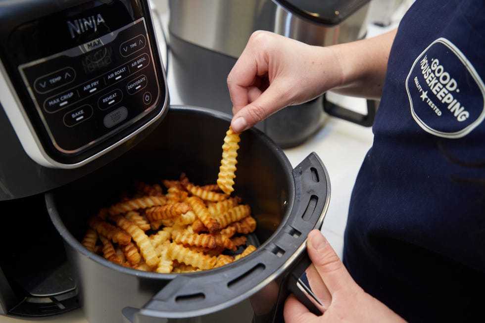fries in an air fryer