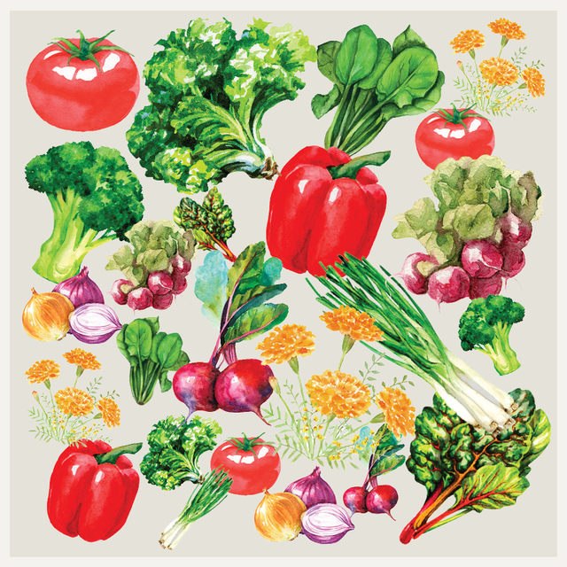 square foot gardening
