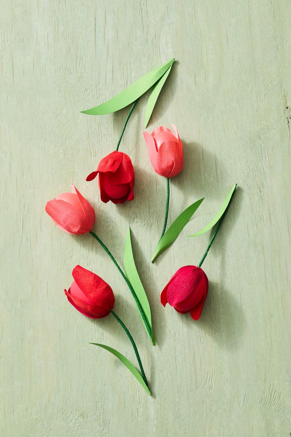arrangement of paper tulips on a light green surface