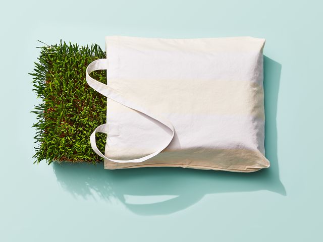 tote bag with grass visual metaphor for 'going green', sustainability, eco friendly
