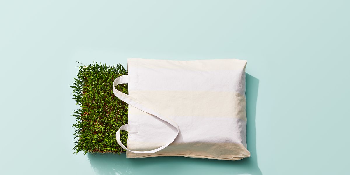201+ Eco-Friendly Bag Company Name Ideas You Can Use for Grocery