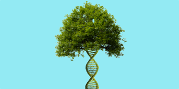 a dna test revealed something shocking about my family