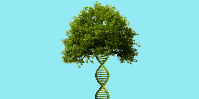 a dna test revealed something shocking about my family
