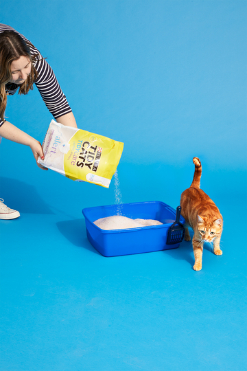 best cat litters