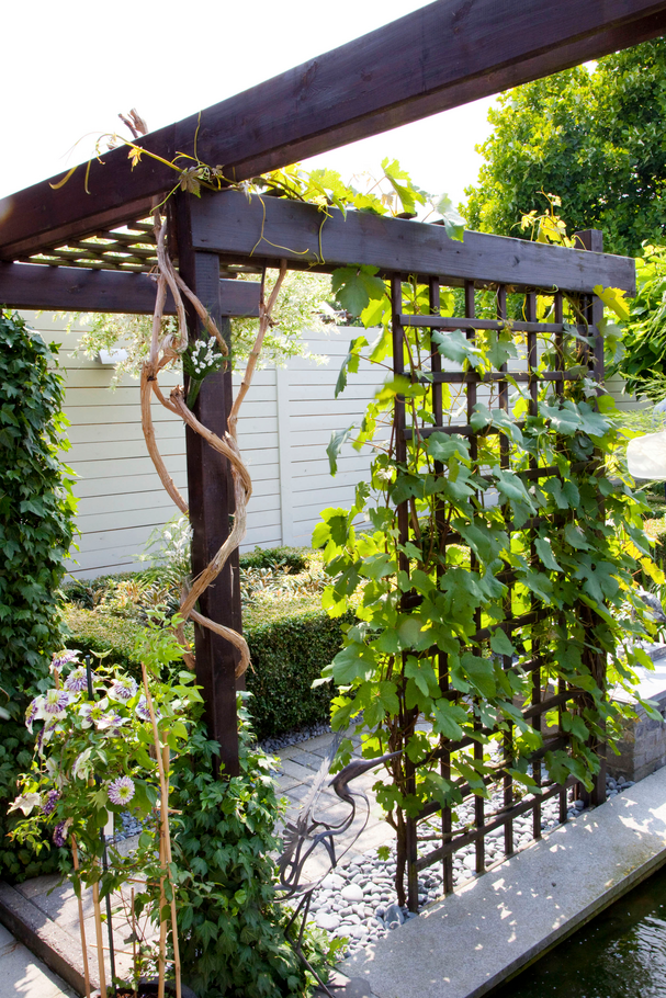 small garden ideas, pergola