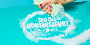 cleaning sponge and soaps suds cover