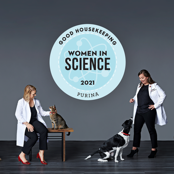 meet the standout scientists making a difference in your pet's health