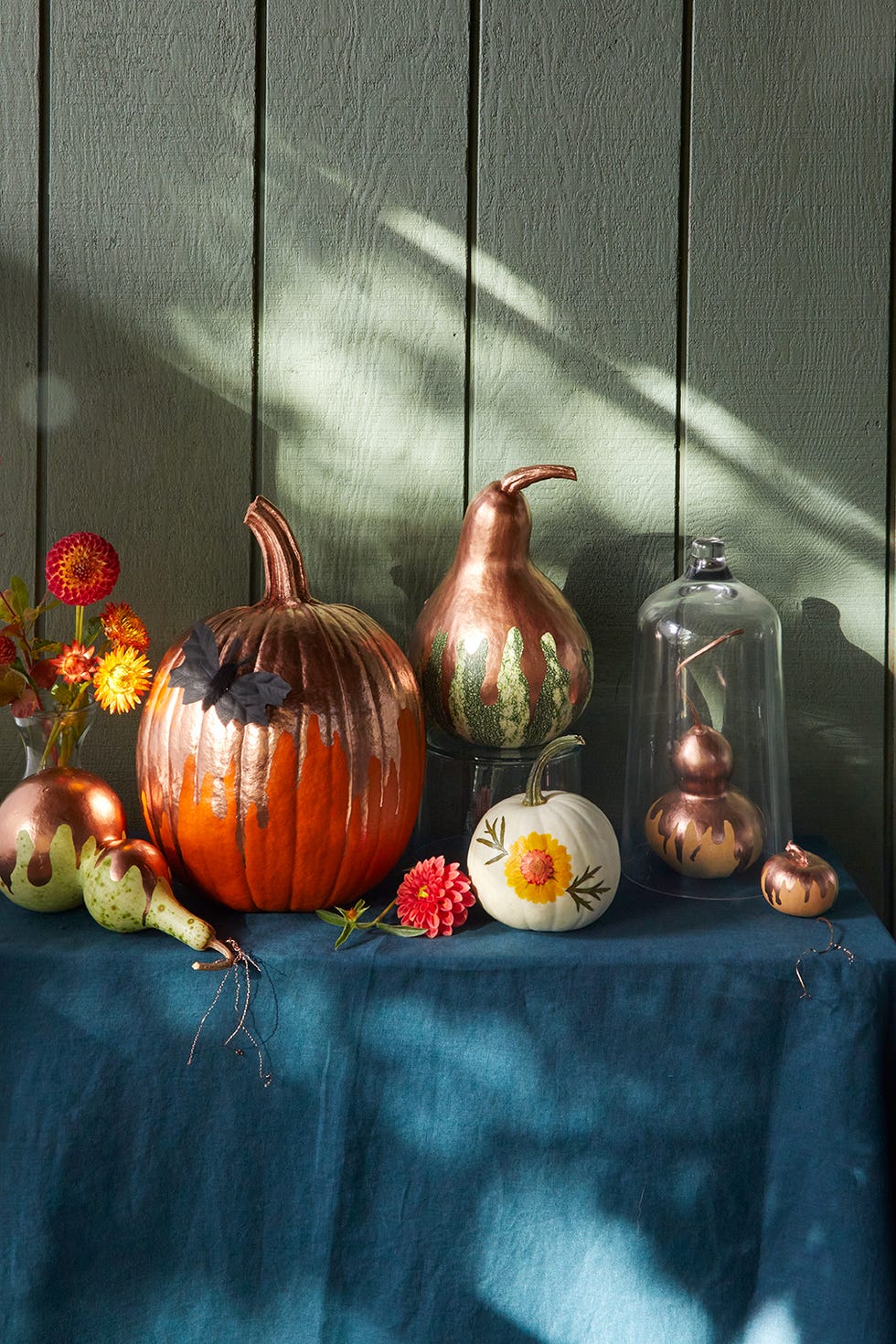 poison pumpkins and gourds