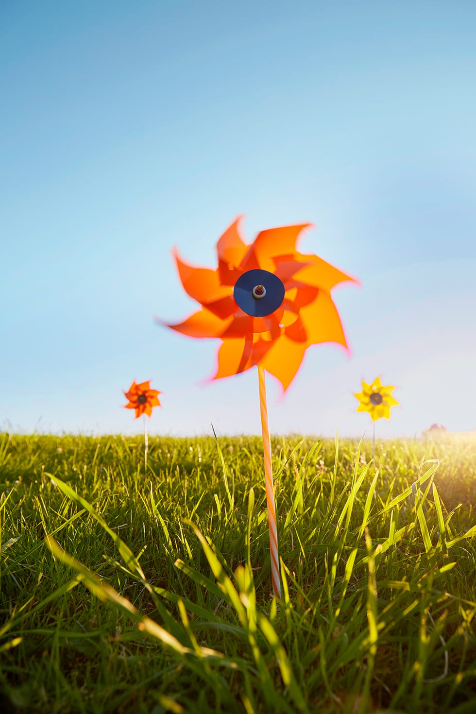 pinwheel in the wind