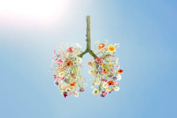 flowers in the shape of lungs