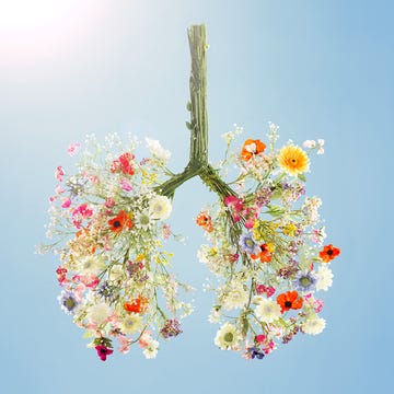 flowers in the shape of lungs flowers in the shape of lungs