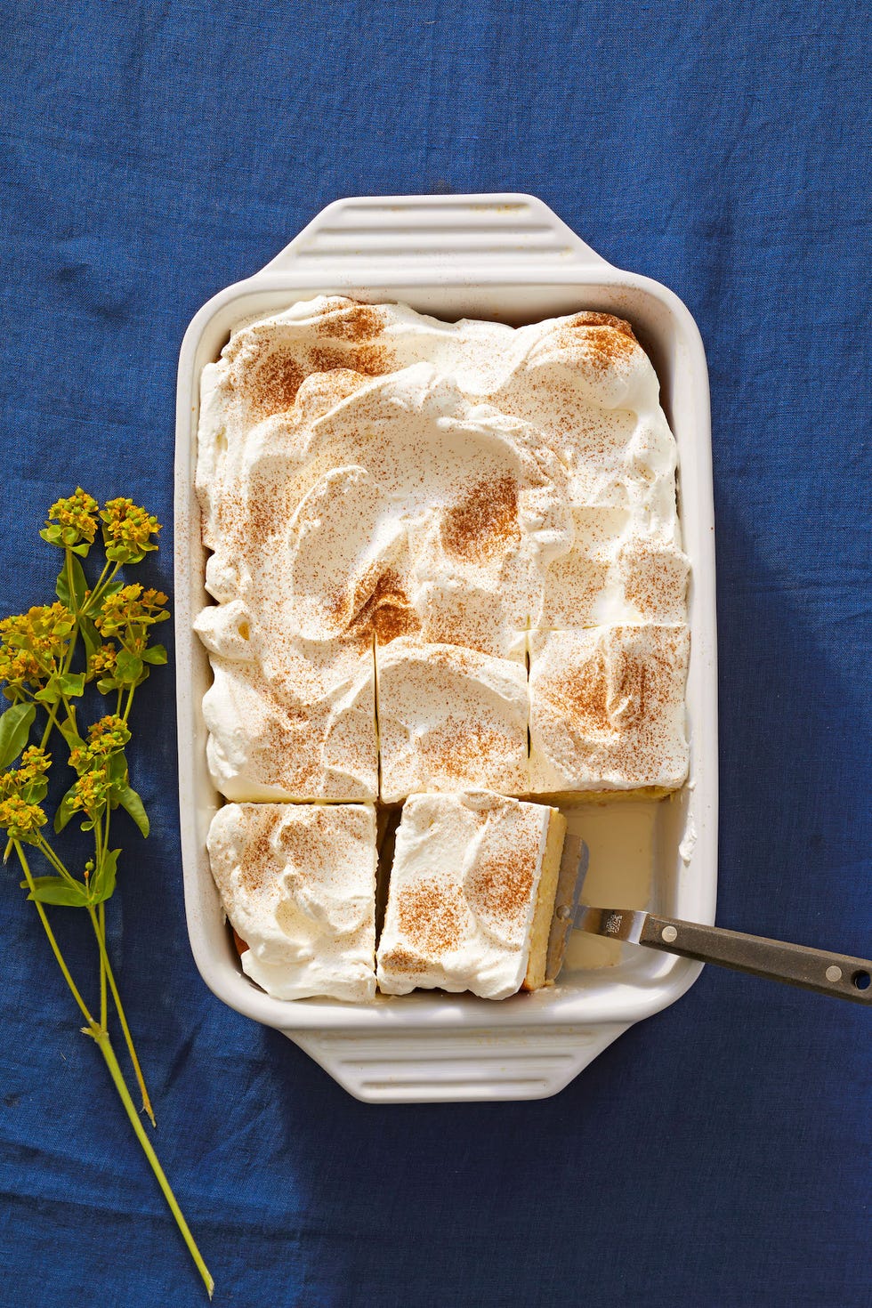 tres leches cake in a baking dish