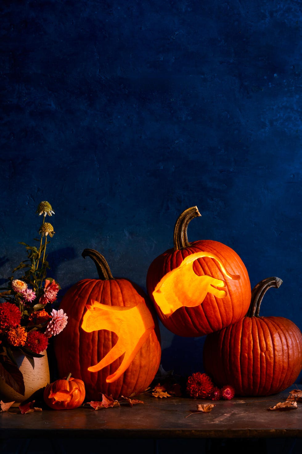 cat pumpkin
