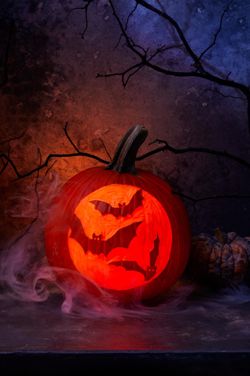 bat pumpkin