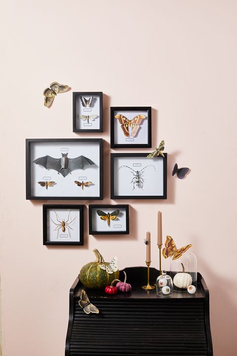 diy halloween decorations diy bug art display