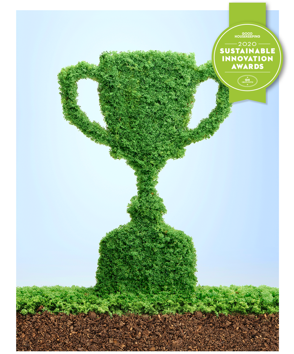 grass growing in the shape of a trophy cup, symbolising the care and dedication needed for success