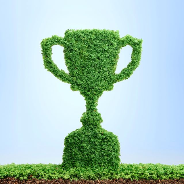 grass growing in the shape of a trophy cup, symbolising the care and dedication needed for success