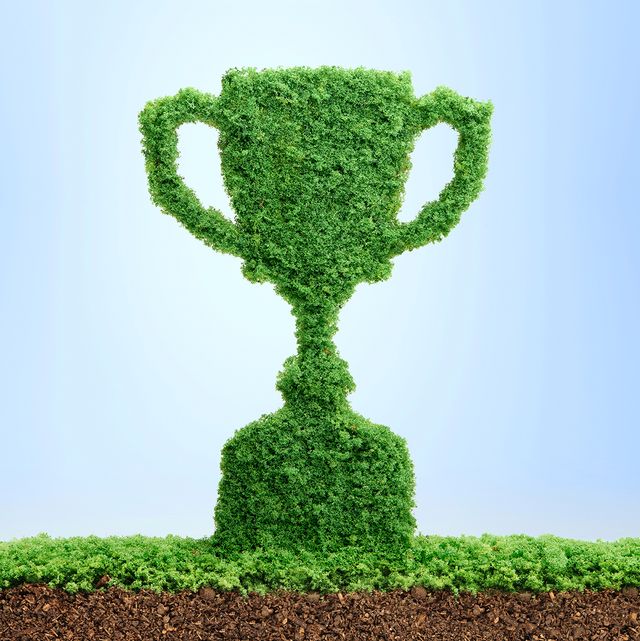 grass growing in the shape of a trophy cup, symbolising the care and dedication needed for success