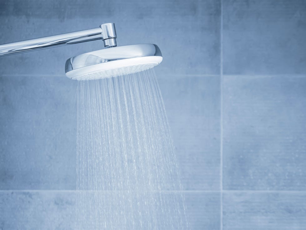 shower water filter