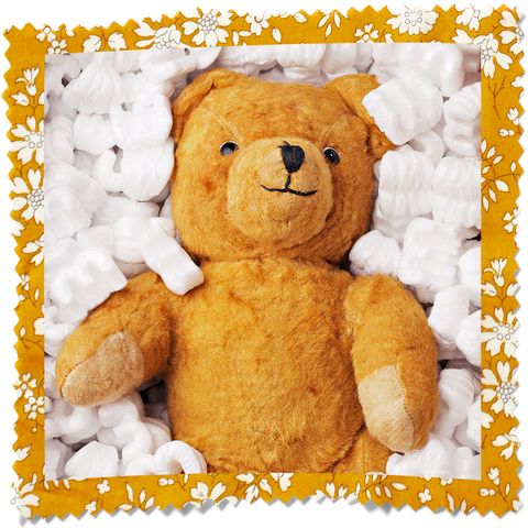 teddy bear in packing box