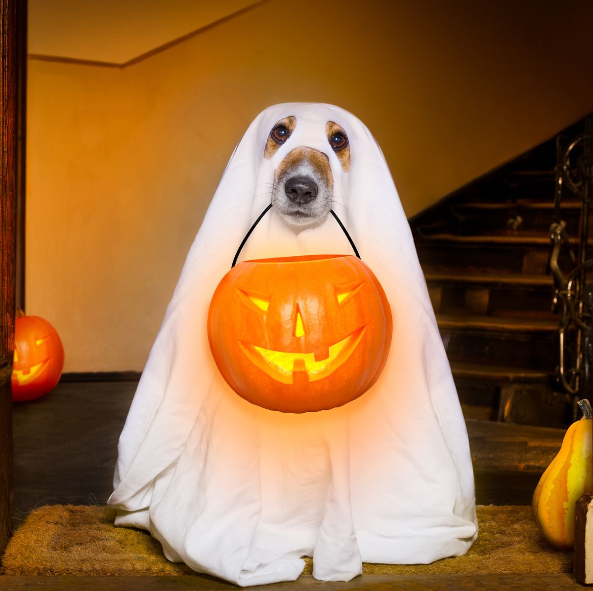 50 Best Ghost Jokes - Funny Ghost One-Liners for Kids and Adults