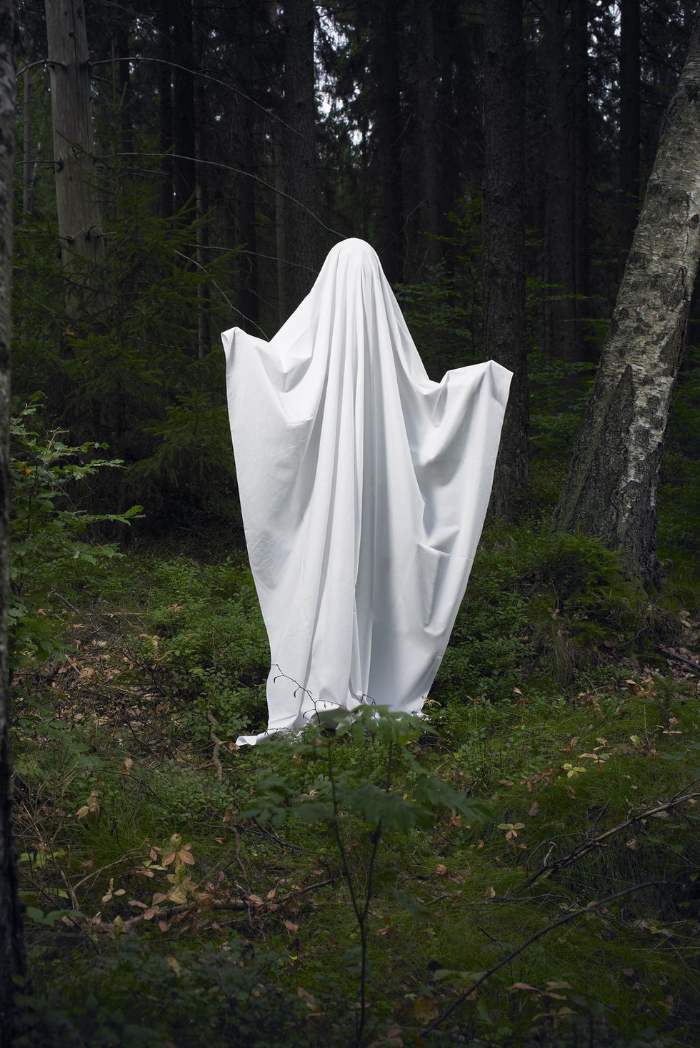 ghost on a rock, in the woods