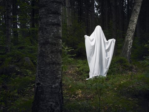 ghost on a rock, in the woods