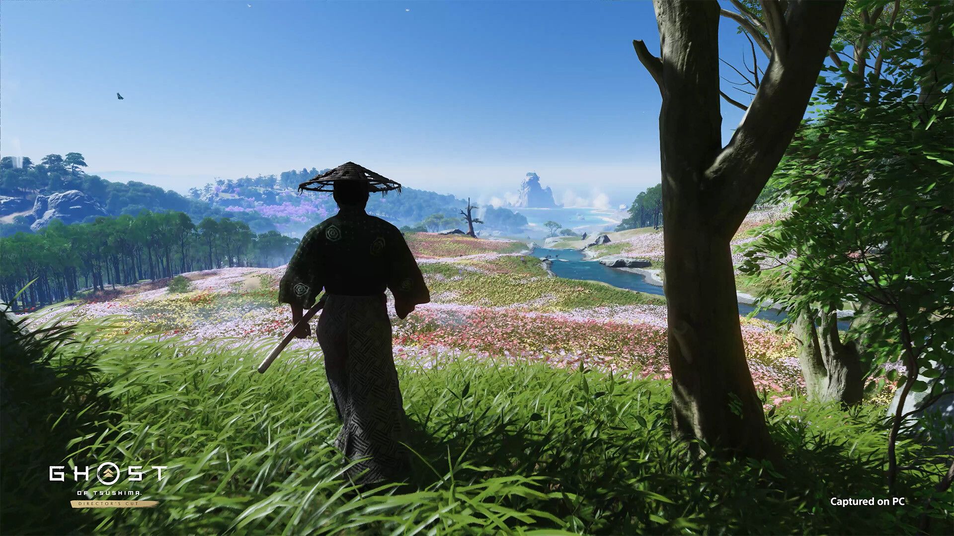 На ключ Steam Director's Cut Ghost of Tsushima скидка более 20% при предварительном заказе