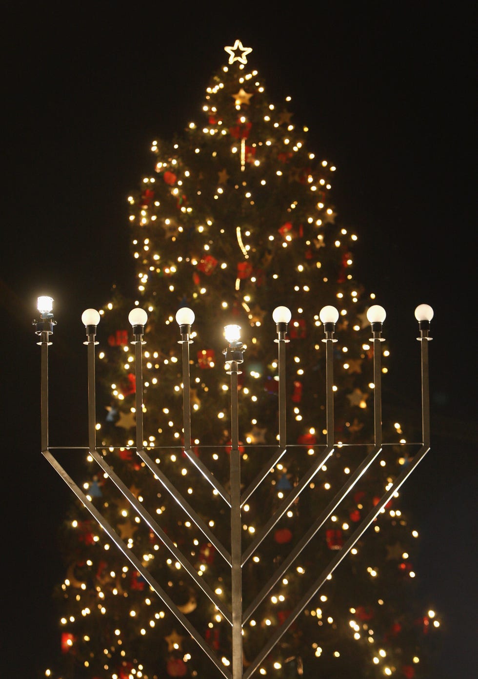 menorah with a christmas tree behind it