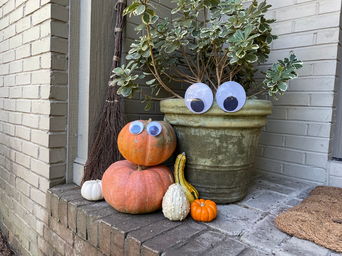 Halloween Decorations with Giant Googly Eyes