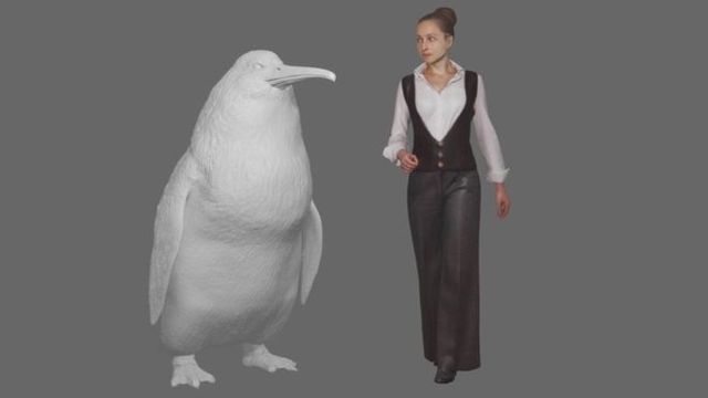Flightless bird, Bird, Penguin, Standing, Formal wear, Beak, Style, 