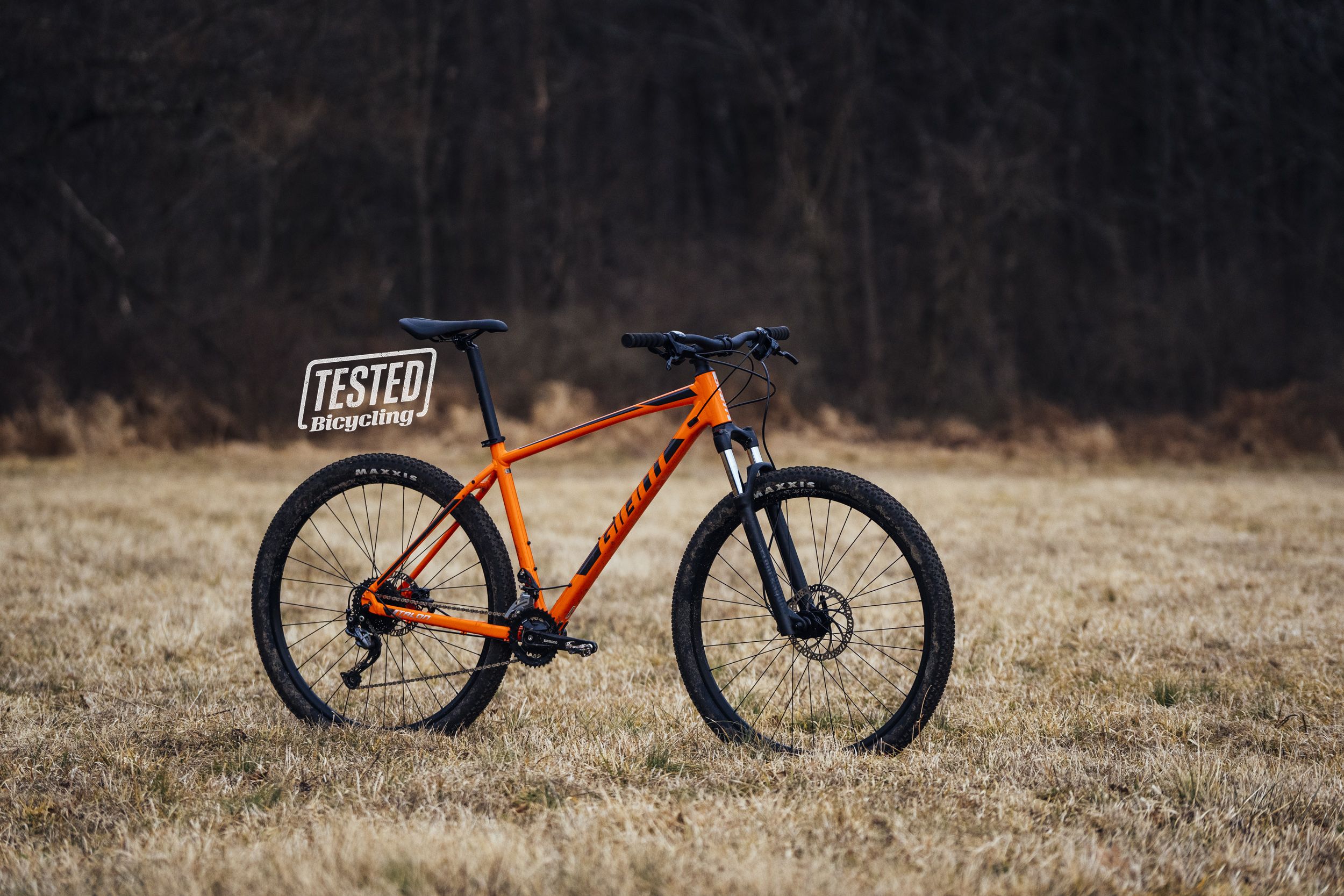 Giant Talon 29 2 Review | Best Cheap Mountain Bikes