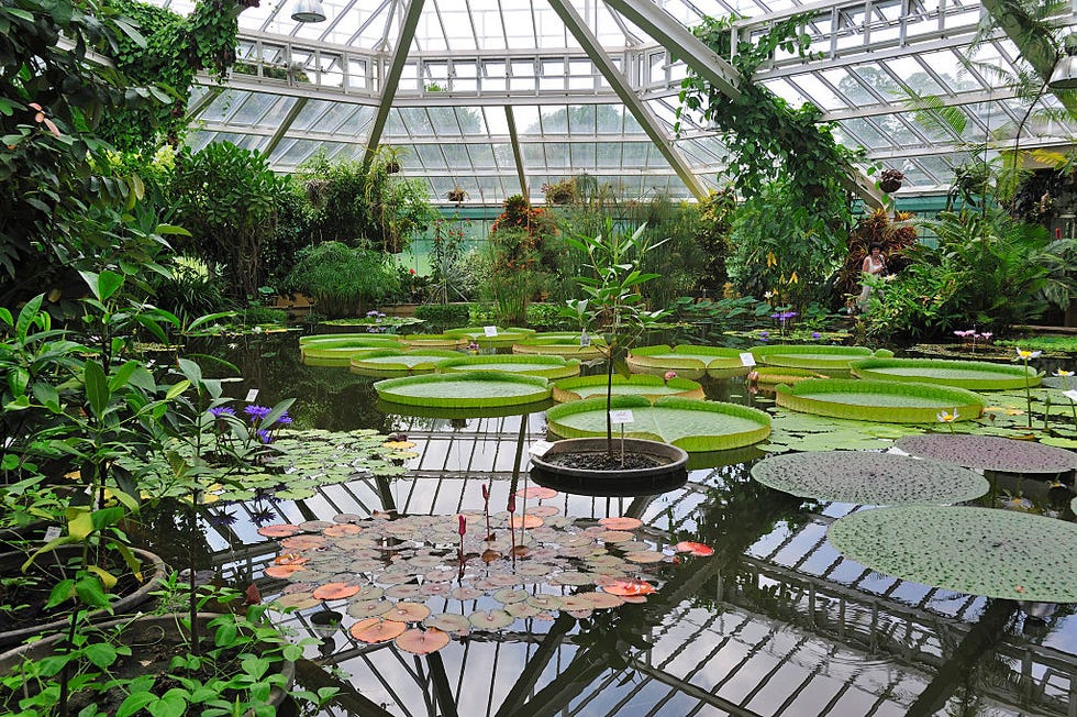 Best Winter Gardens in the World - Gardens to Visit in the Winter