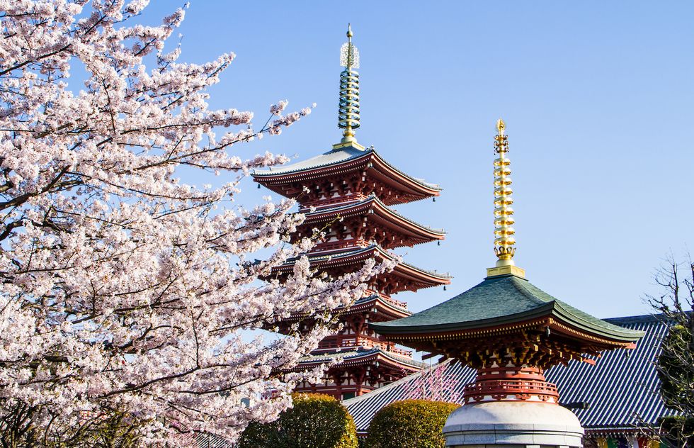 Pagoda, Japanese architecture, Architecture, Landmark, Flower, Tree, Plant, Tower, Spring, Blossom, 